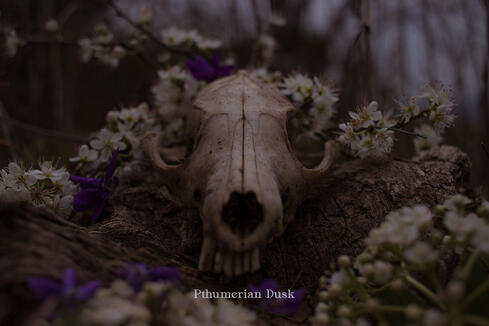 In Death, is Life, 2021